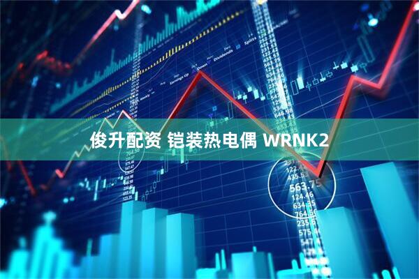 俊升配资 铠装热电偶 WRNK2