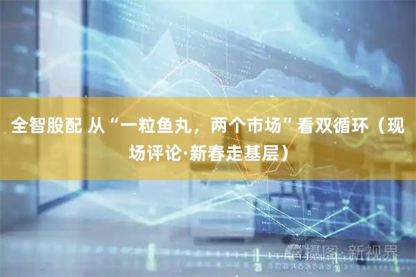 全智股配 从“一粒鱼丸，两个市场”看双循环（现场评论·新春走基层）