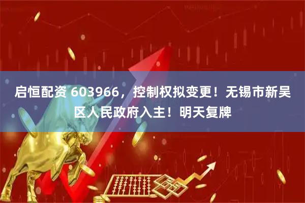 启恒配资 603966，控制权拟变更！无锡市新吴区人民政府入主！明天复牌