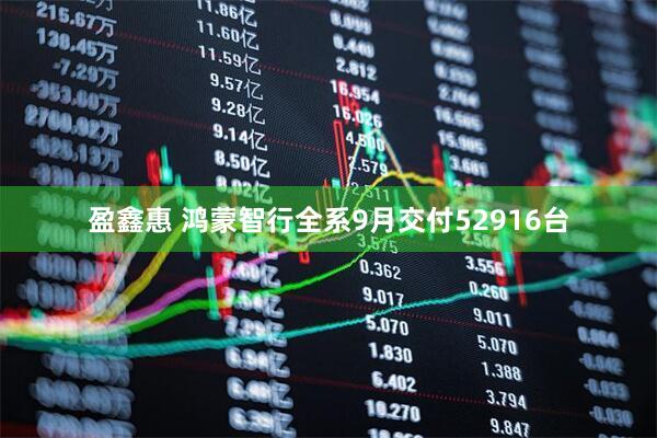 盈鑫惠 鸿蒙智行全系9月交付52916台